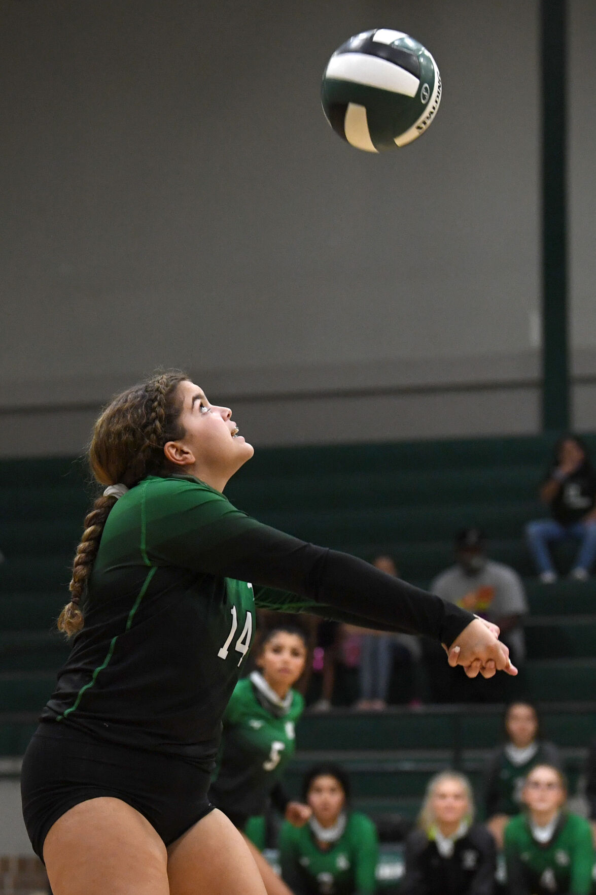 Rudder vs. Magnolia West